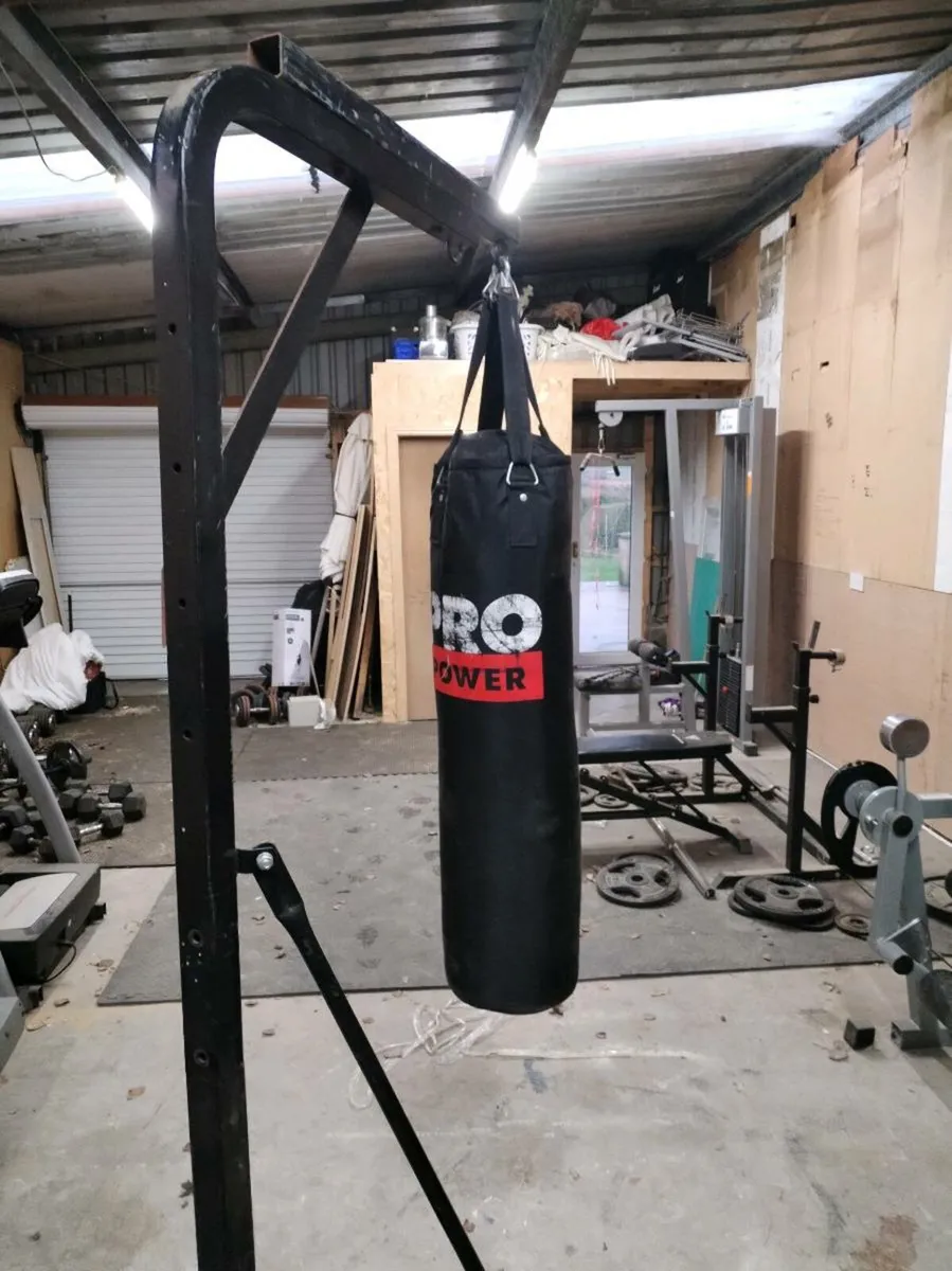 Boxing bag - Image 1
