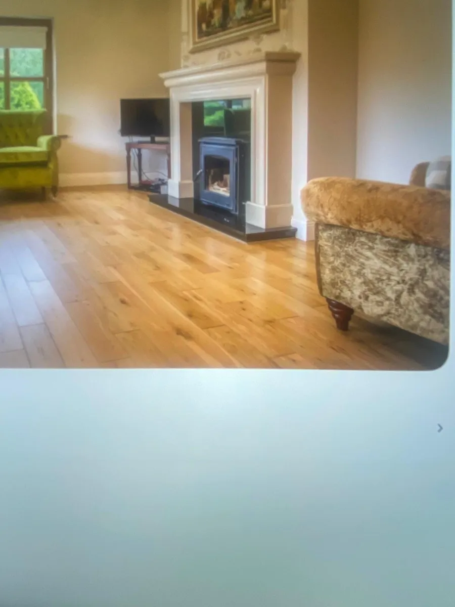 Wood burning stove - Image 1