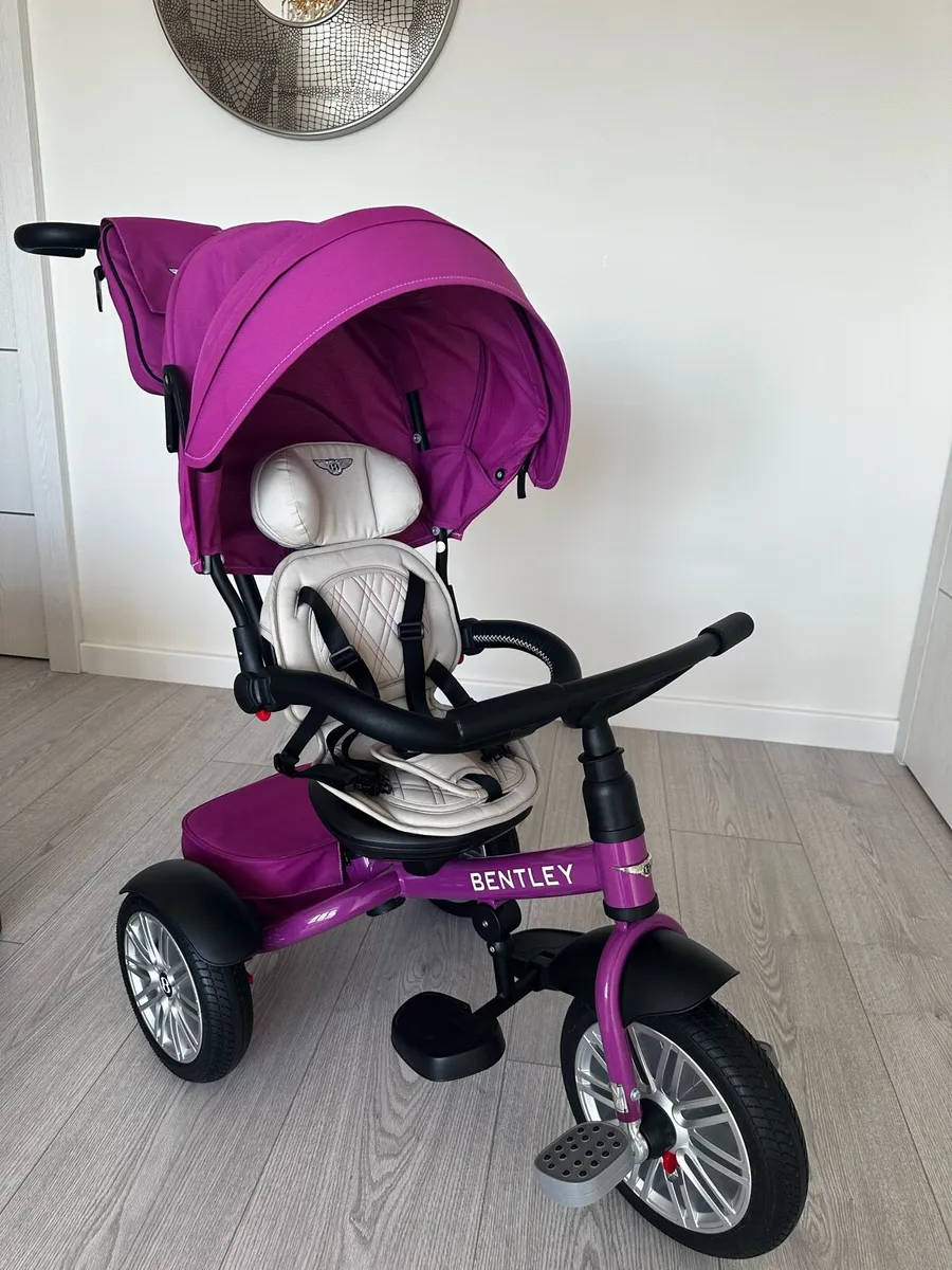 Kids trike - Image 1