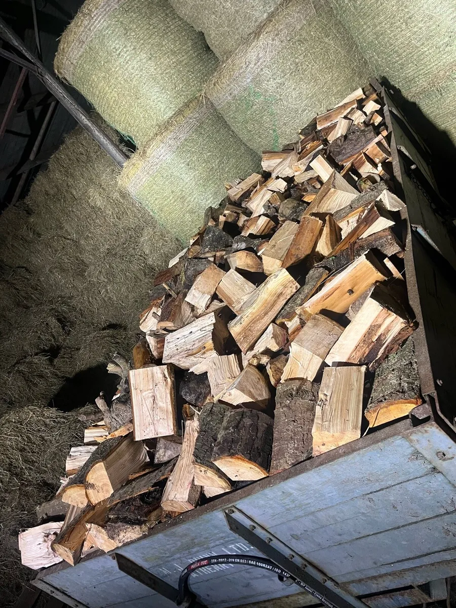 Firewood - Image 1