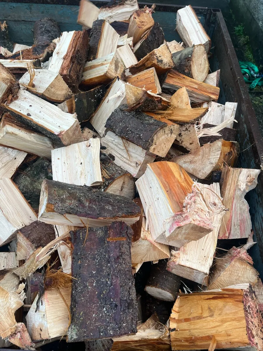 Firewood - Image 3