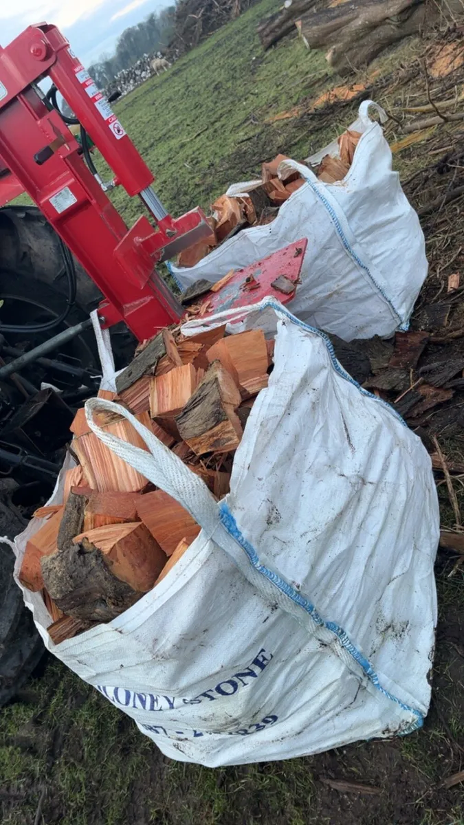 Firewood - Image 4