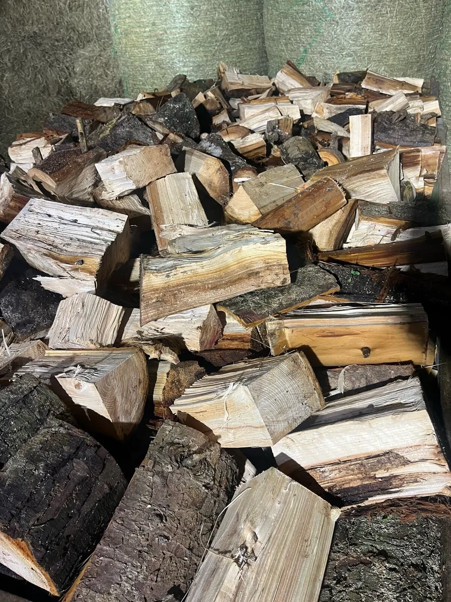 Firewood - Image 2