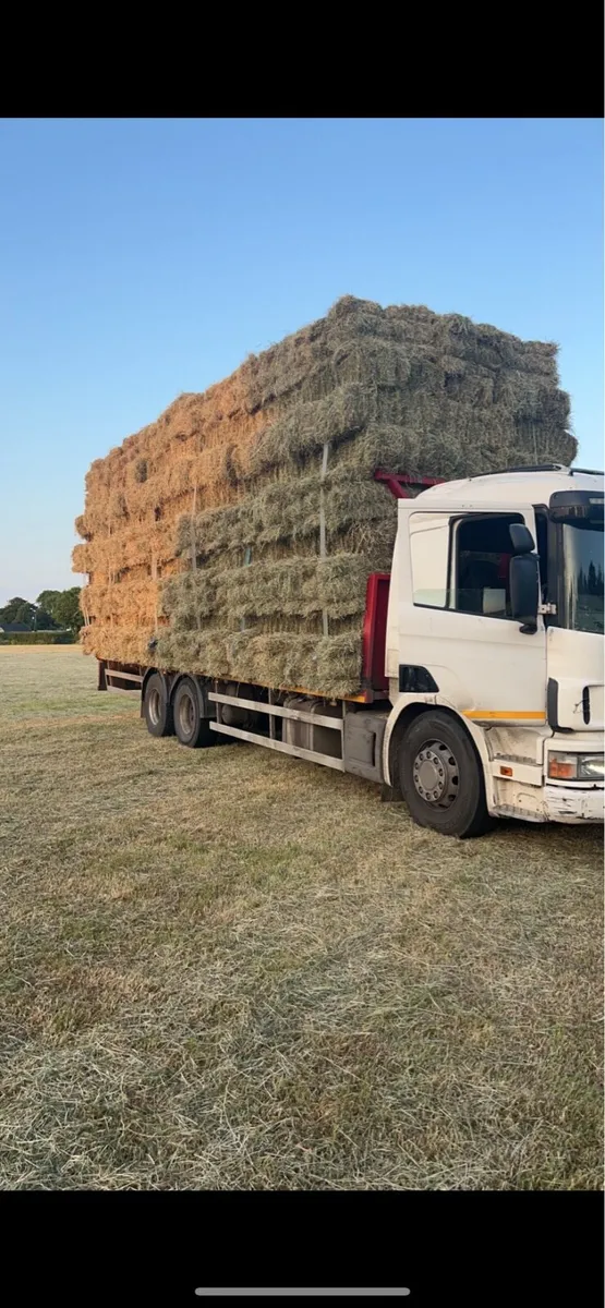 Small square Hay and straw - Image 2