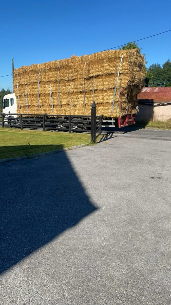 Small square Hay and straw - Image 3