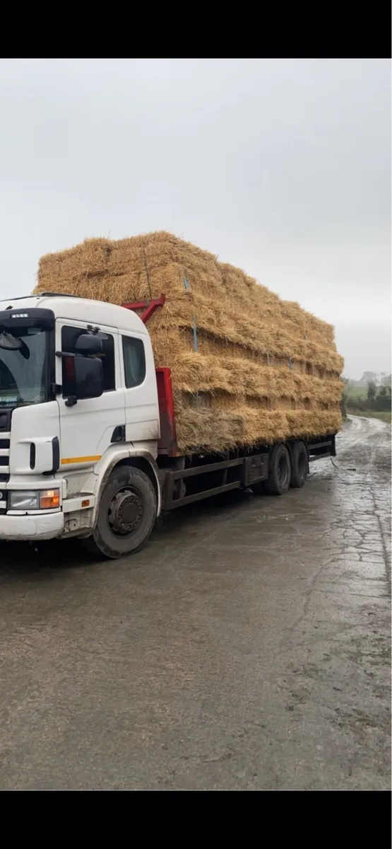 Small square Hay and straw - Image 4