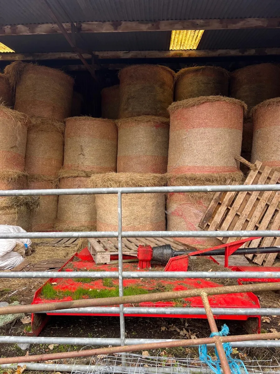 Good quality hay and silage