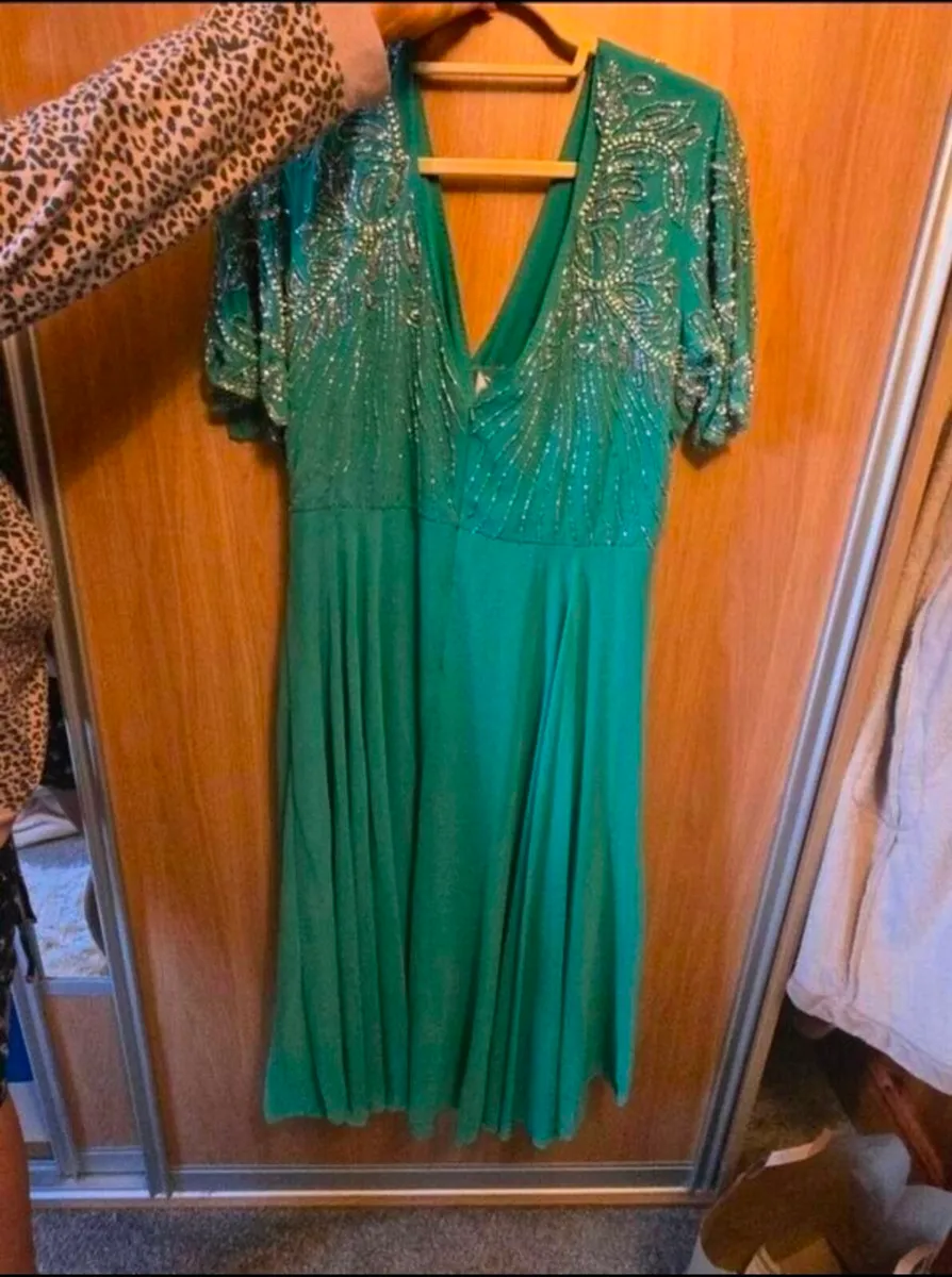 ladies beautiful embellished dress size 18 BNWT - Image 3