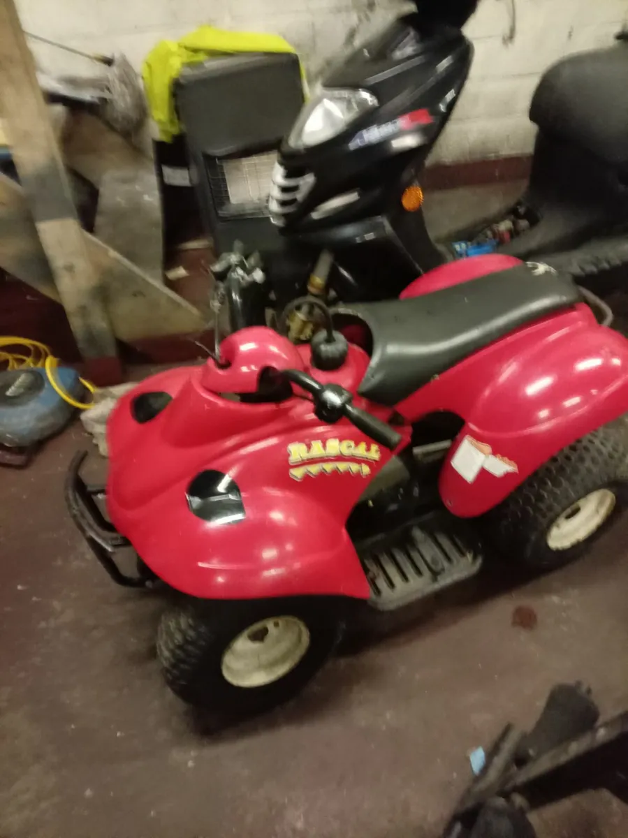 Child's 50cc quad - Image 2