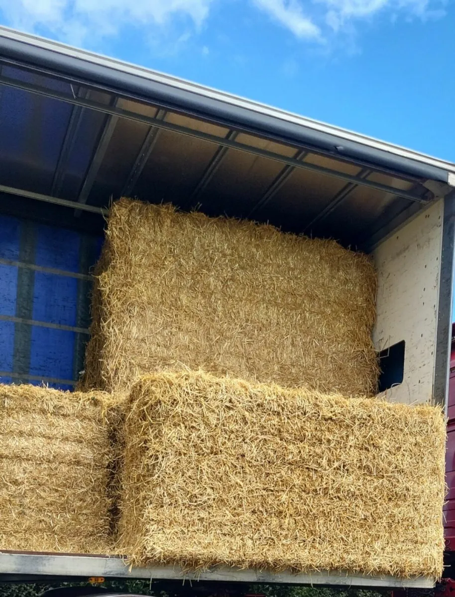 Wheat and Barley Straw 8x4x3 Shed Stored - Image 1