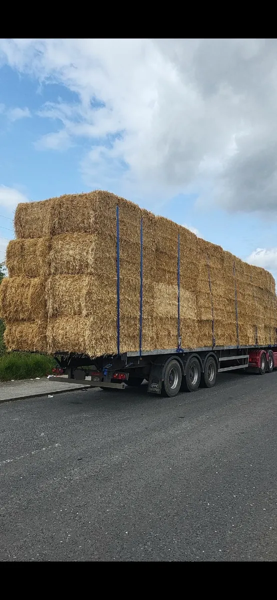 Wheat and Barley Straw 8x4x3 Shed Stored - Image 2