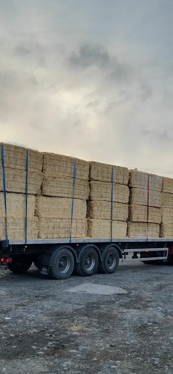 Wheat and Barley Straw 8x4x3 Shed Stored - Image 4