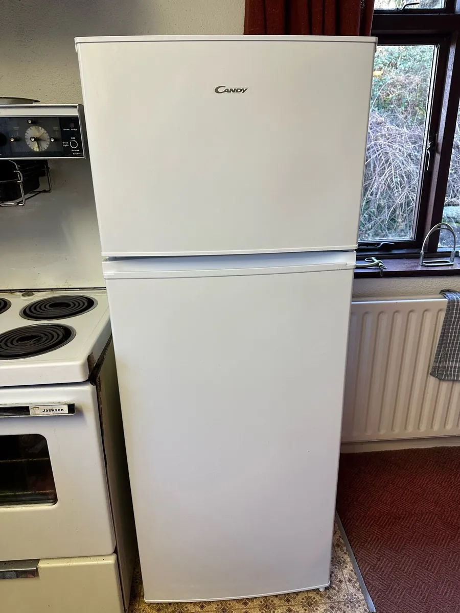 Fridge freezer - Image 1