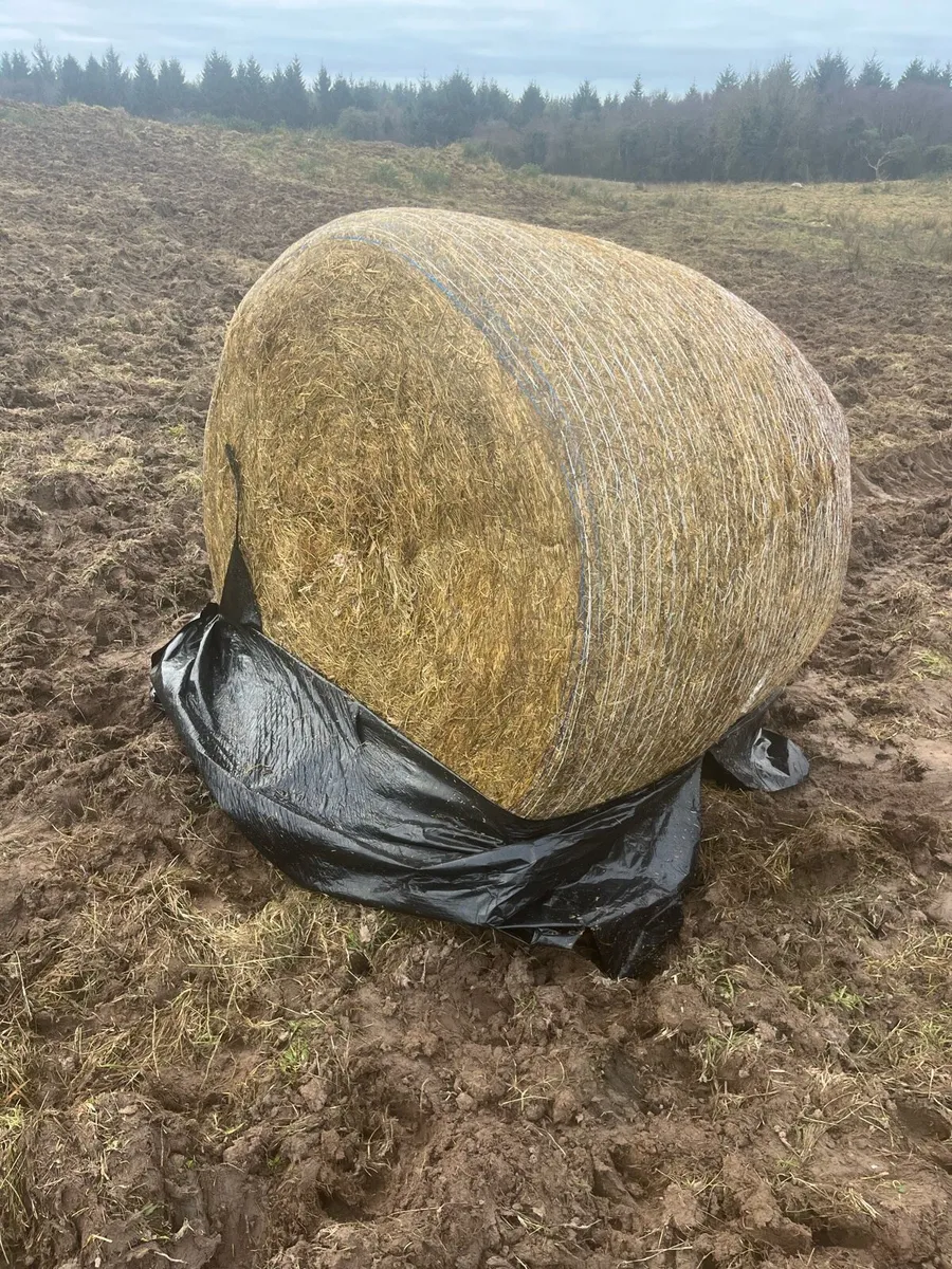 Silage bales