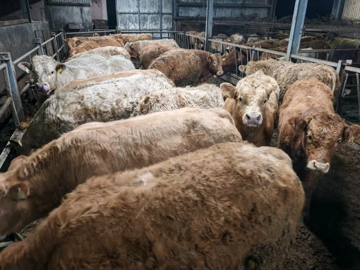 ⭐⭐20 U Grade Engines 380 kgs ⭐⭐ - Image 1