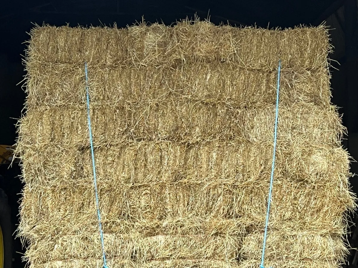 HAY S-SQUARE & ROUND - Image 1