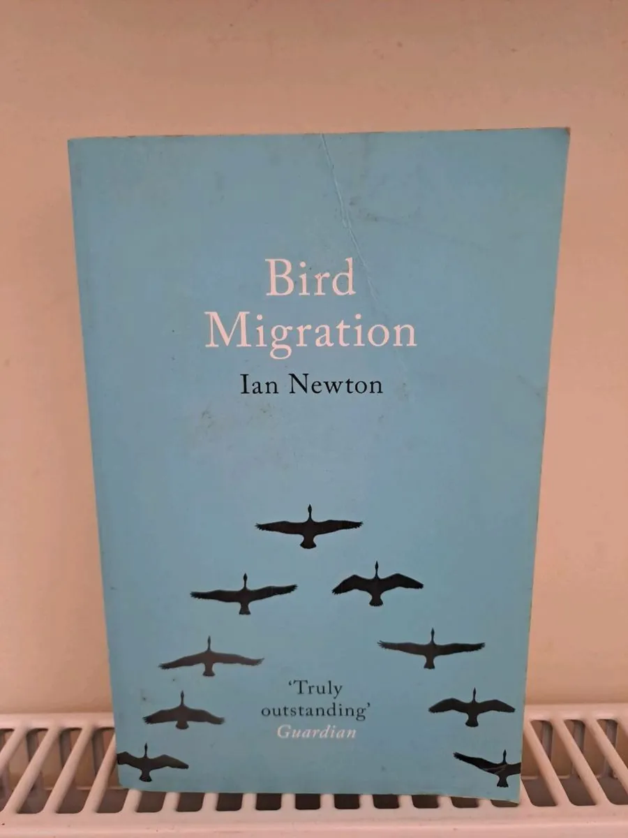 Bird Migration by Ian Newton - Image 1