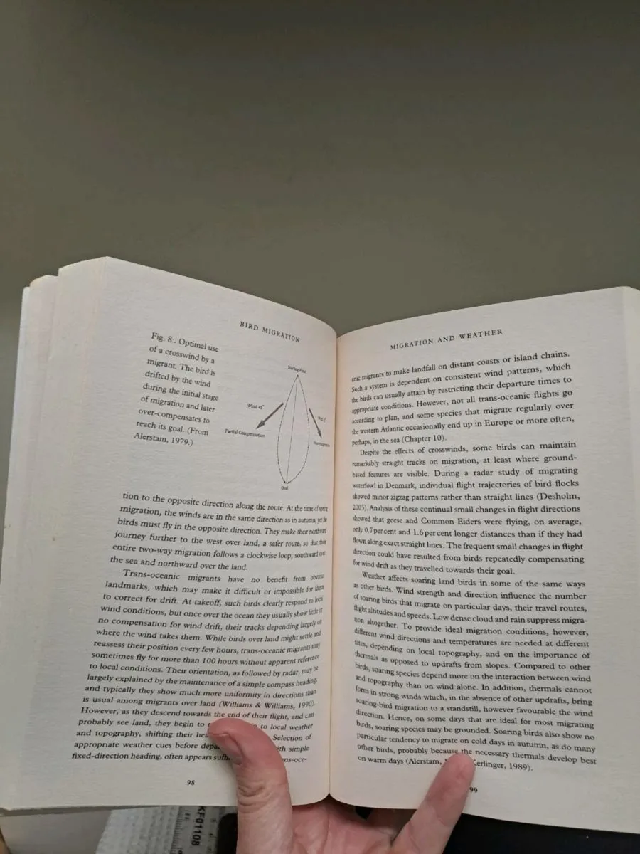 Bird Migration by Ian Newton - Image 3