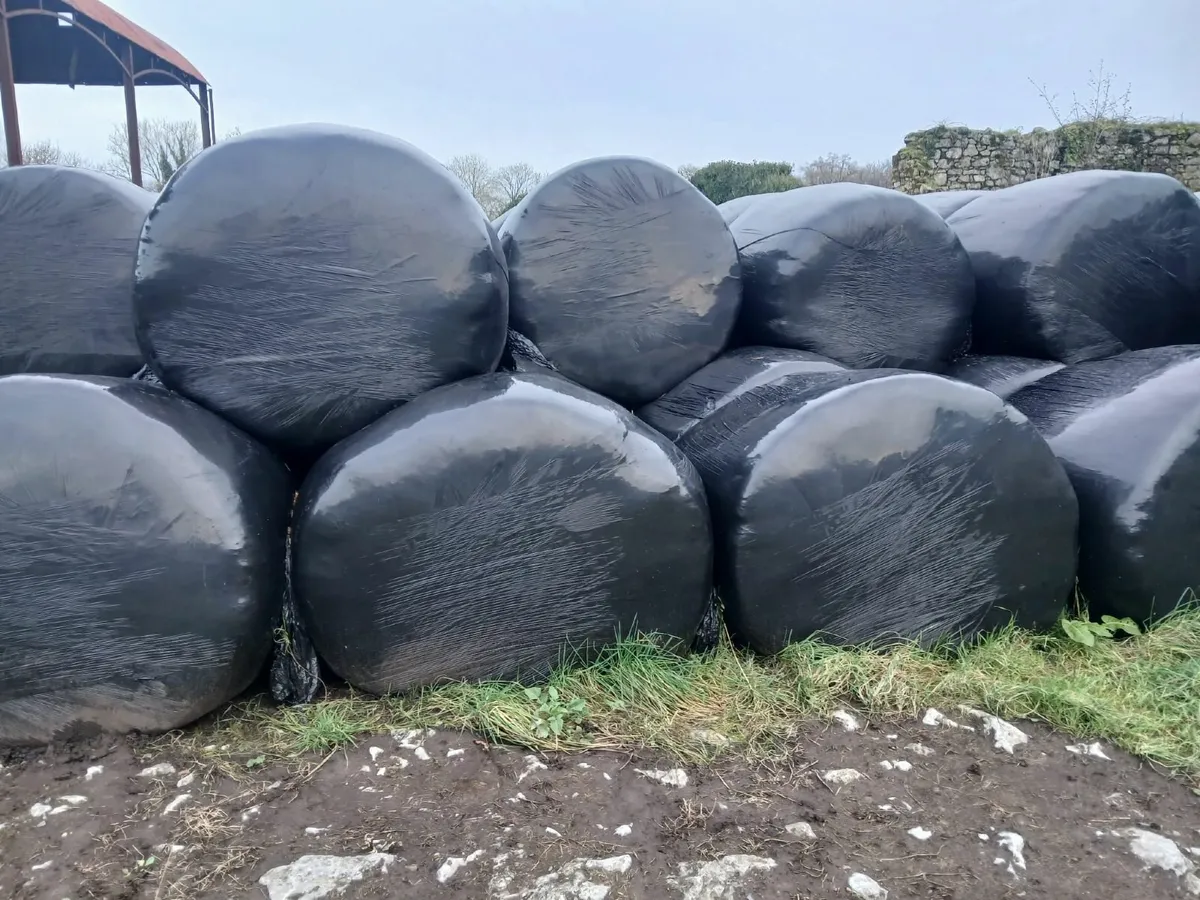 Silage Bales