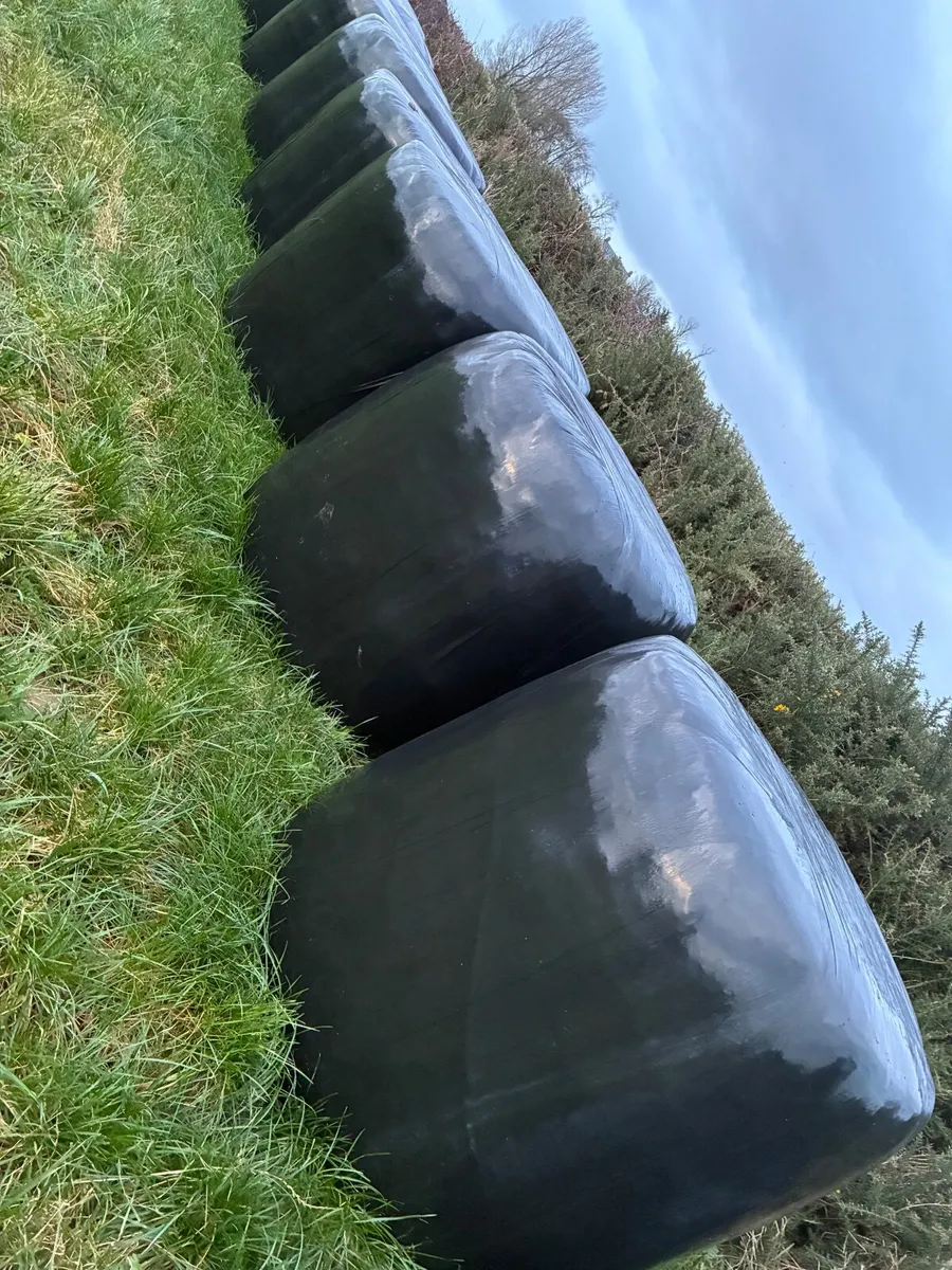 Silage - Image 1