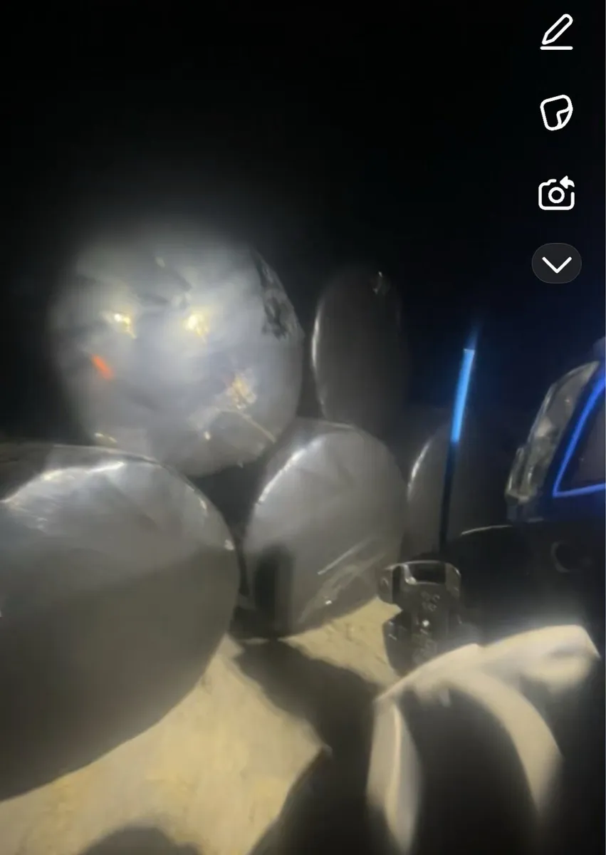 1st cut silage - Image 3