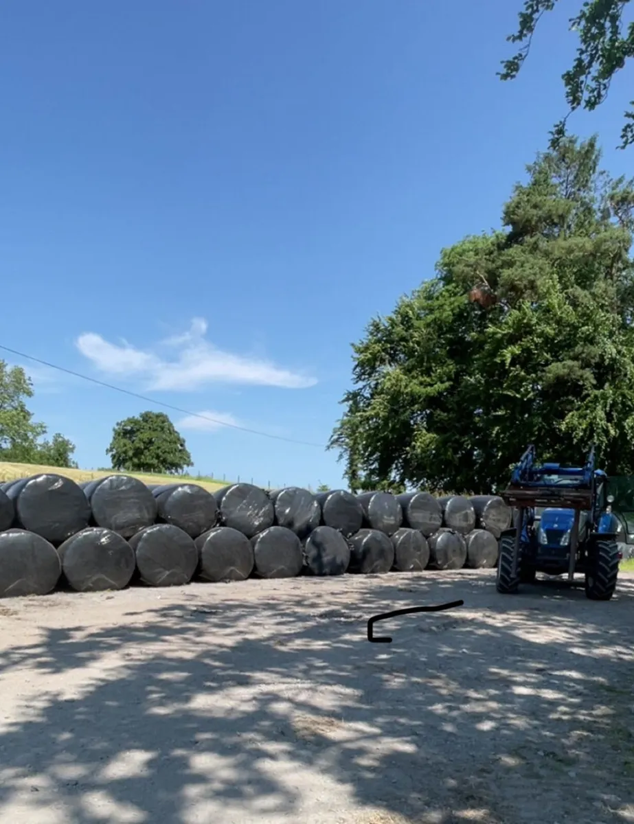 1st cut silage - Image 1