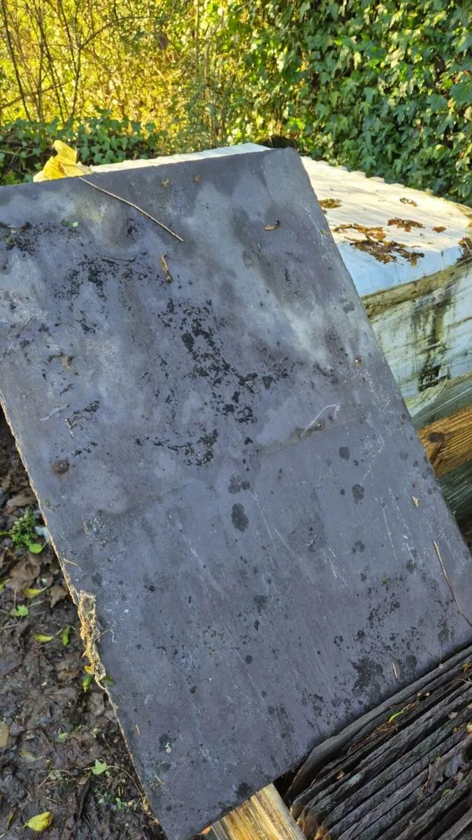 Blue Bangor Slates - Image 1