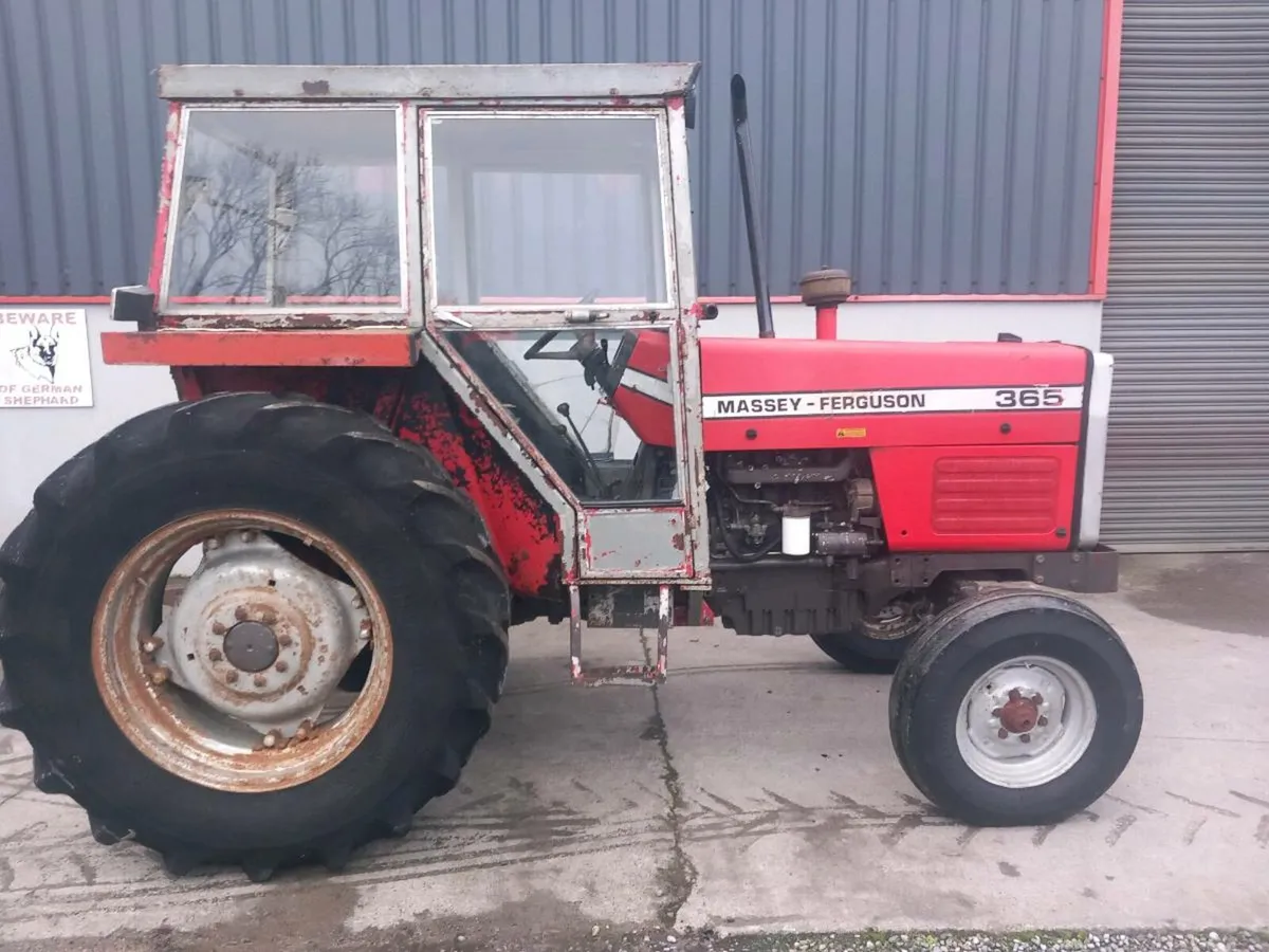 Massey Ferguson. 365 Machinal 100% - Image 1