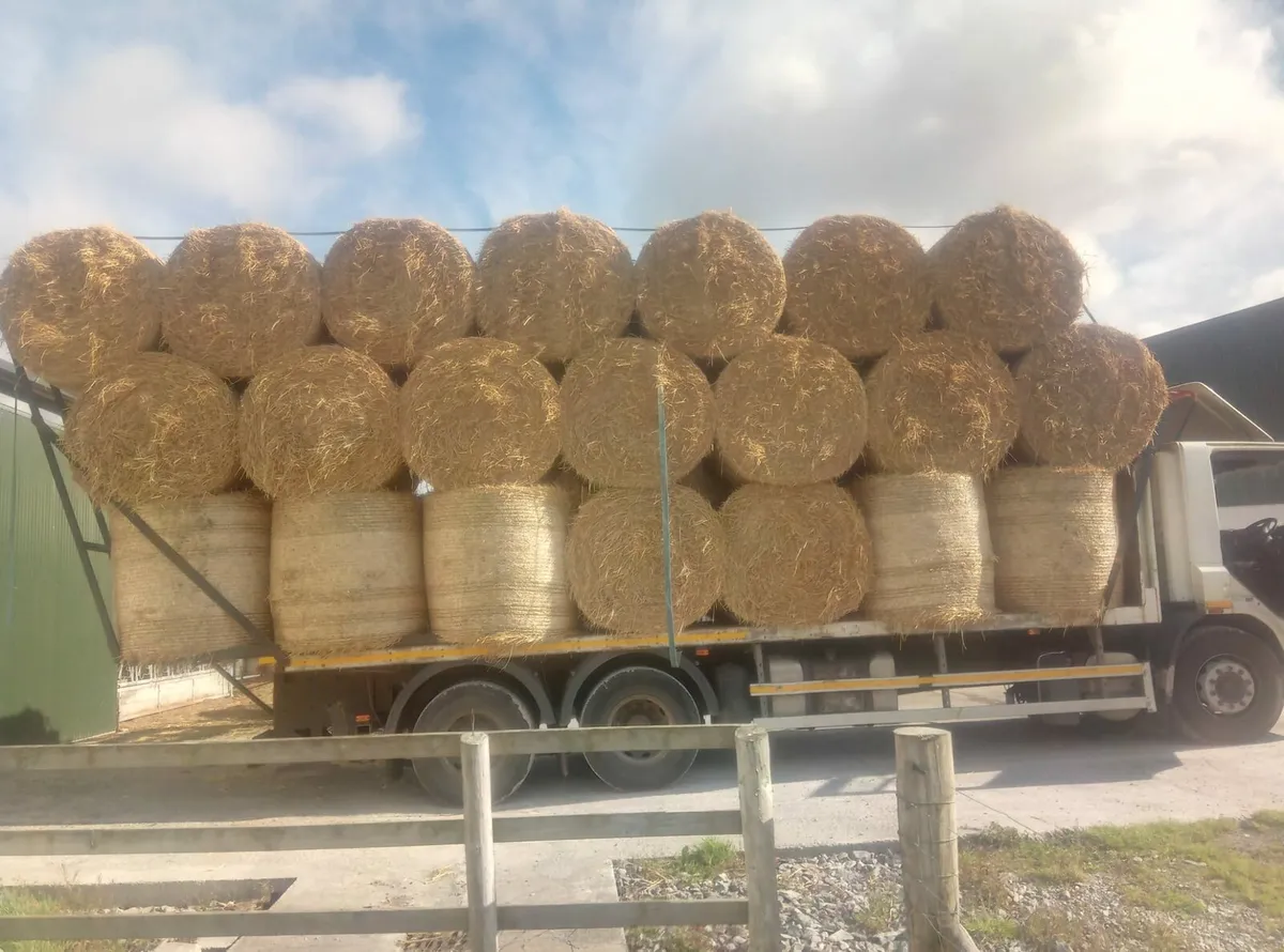 Round Bsles of Barley Straw for sale - Image 1