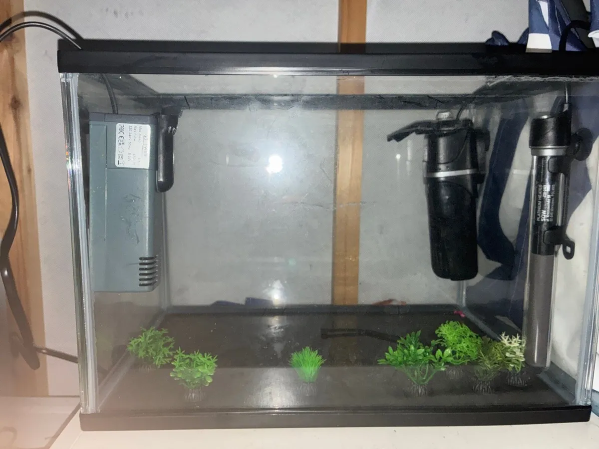 Fish Tank+ Equipment Needed for Best Setup - Image 1