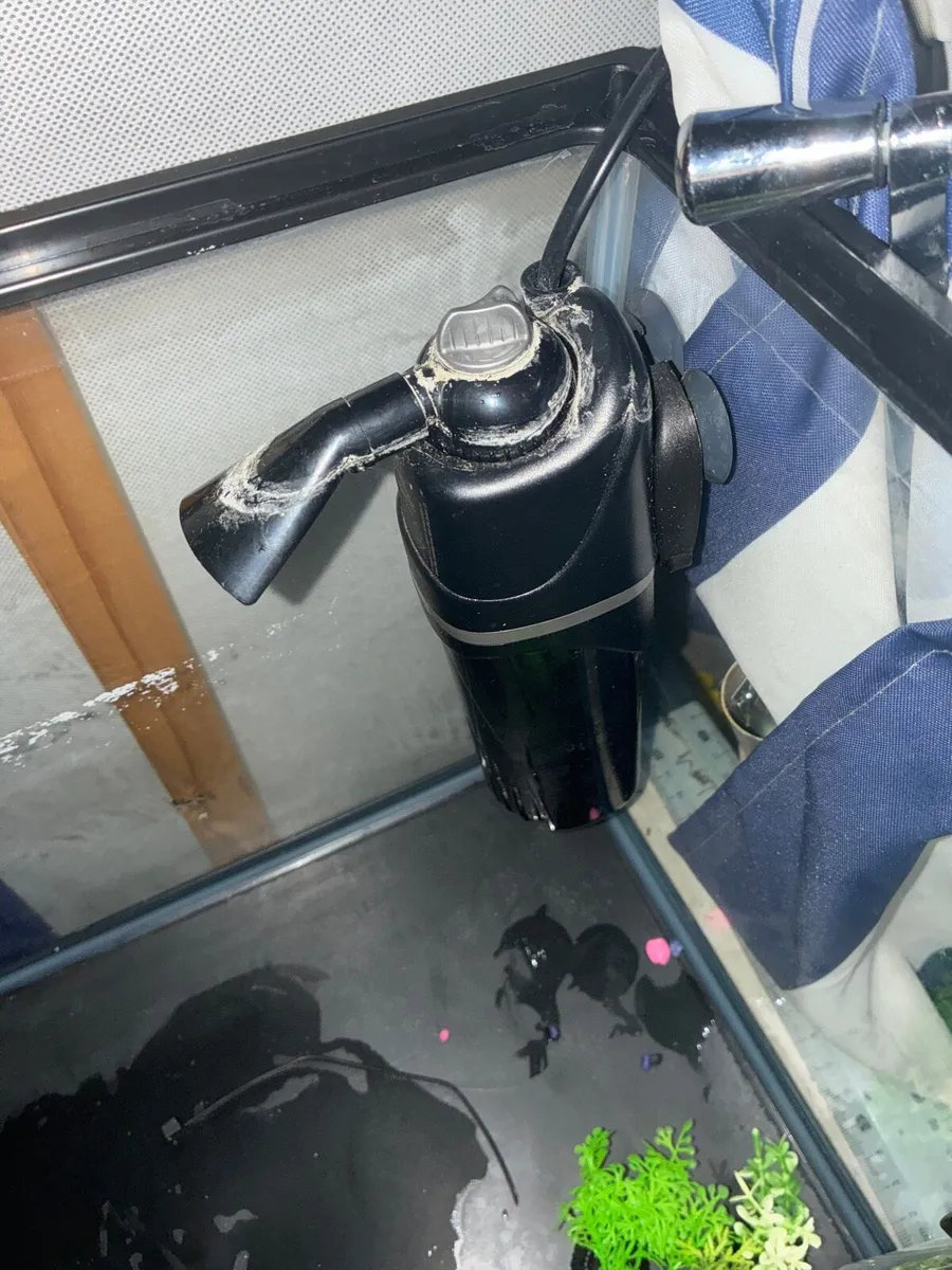 Fish Tank+ Equipment Needed for Best Setup - Image 2