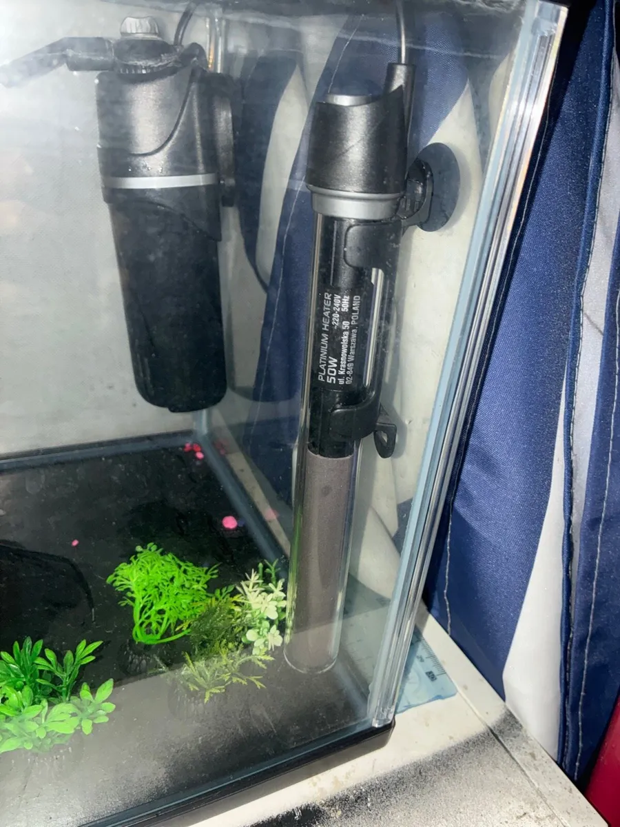 Fish Tank+ Equipment Needed for Best Setup - Image 4