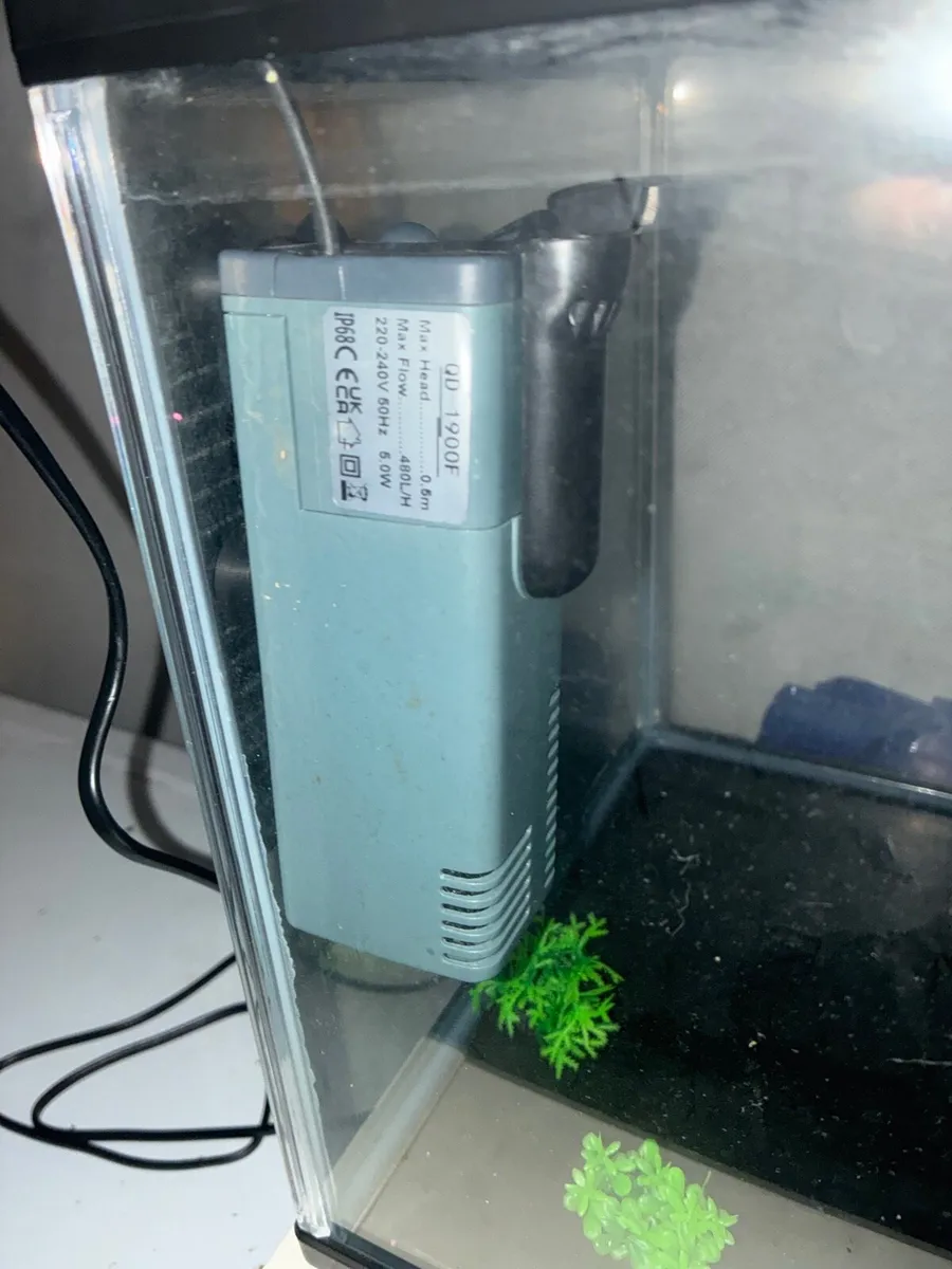 Fish Tank+ Equipment Needed for Best Setup - Image 3