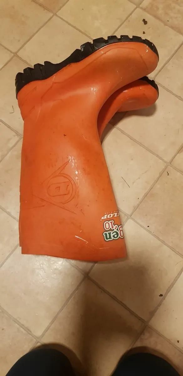 Wellingtons - Image 1