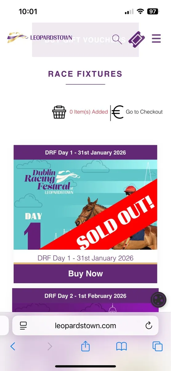 Leopardstown Dublin racing festival ticket sat