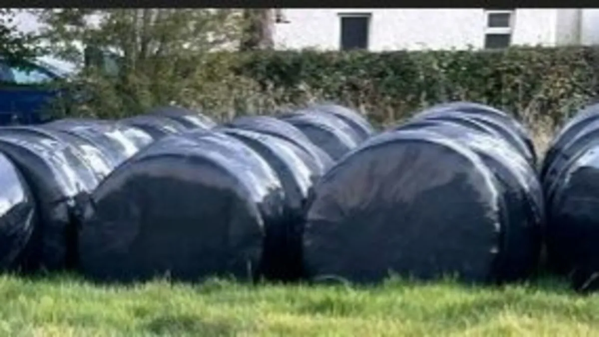 Round bales wrapped Hay