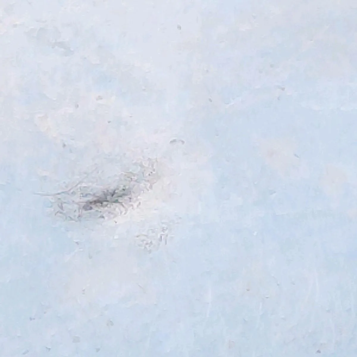 HUGE BELCHER 1930'S, 925 Silver 18"Heavy Locket ! - Image 3