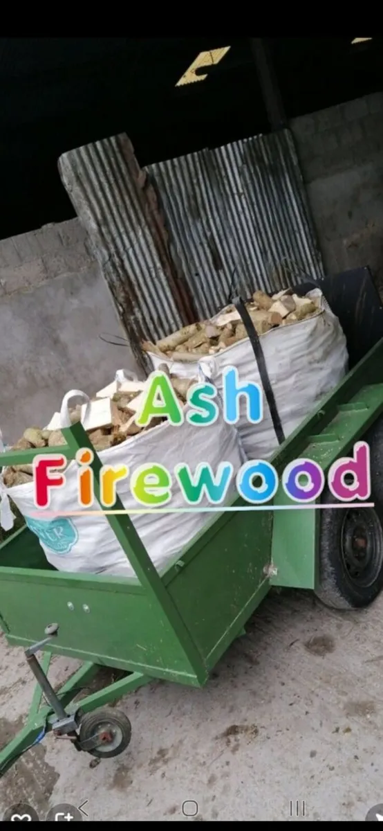 Firewood - Image 3