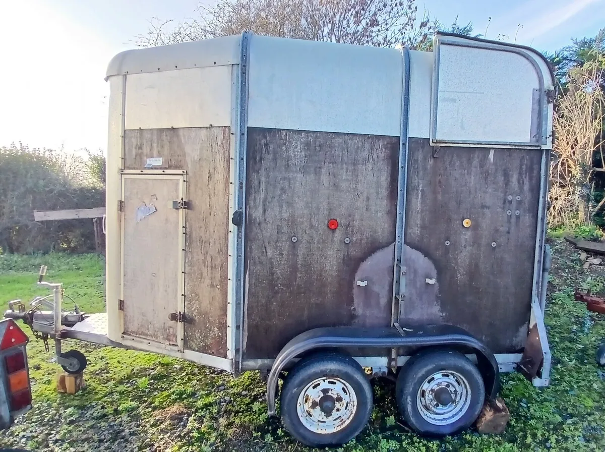 Horse box - Image 4