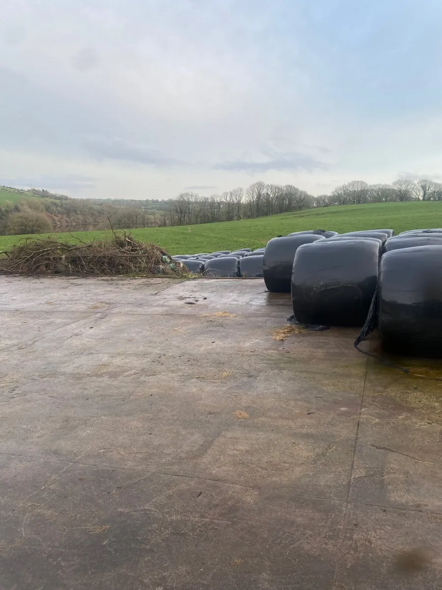 Silage Bales - Image 2