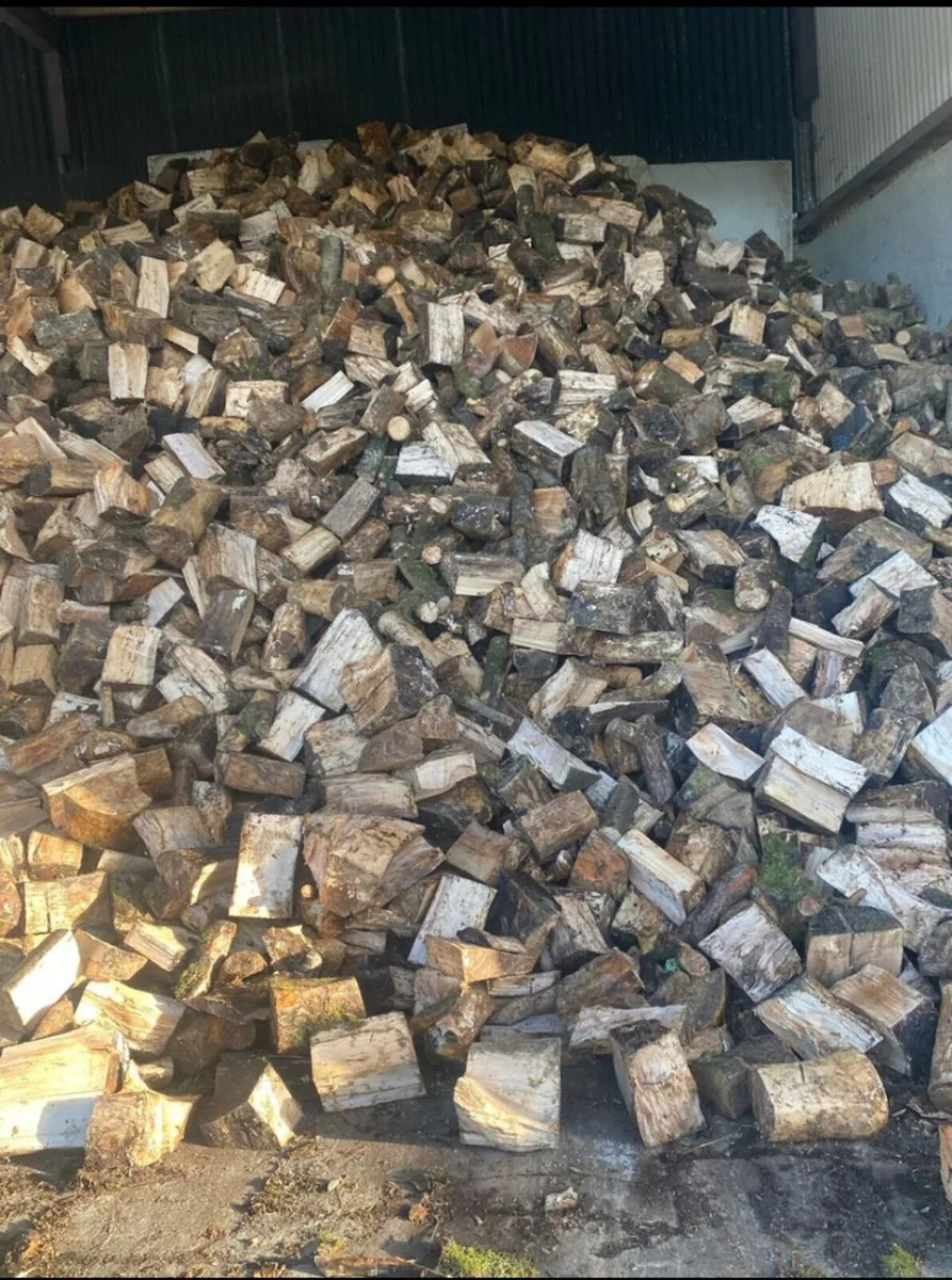 Firewood - Image 1