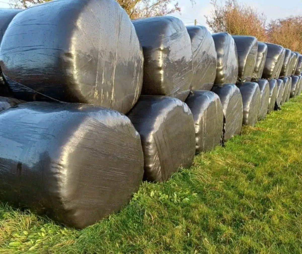 150  round silage bales