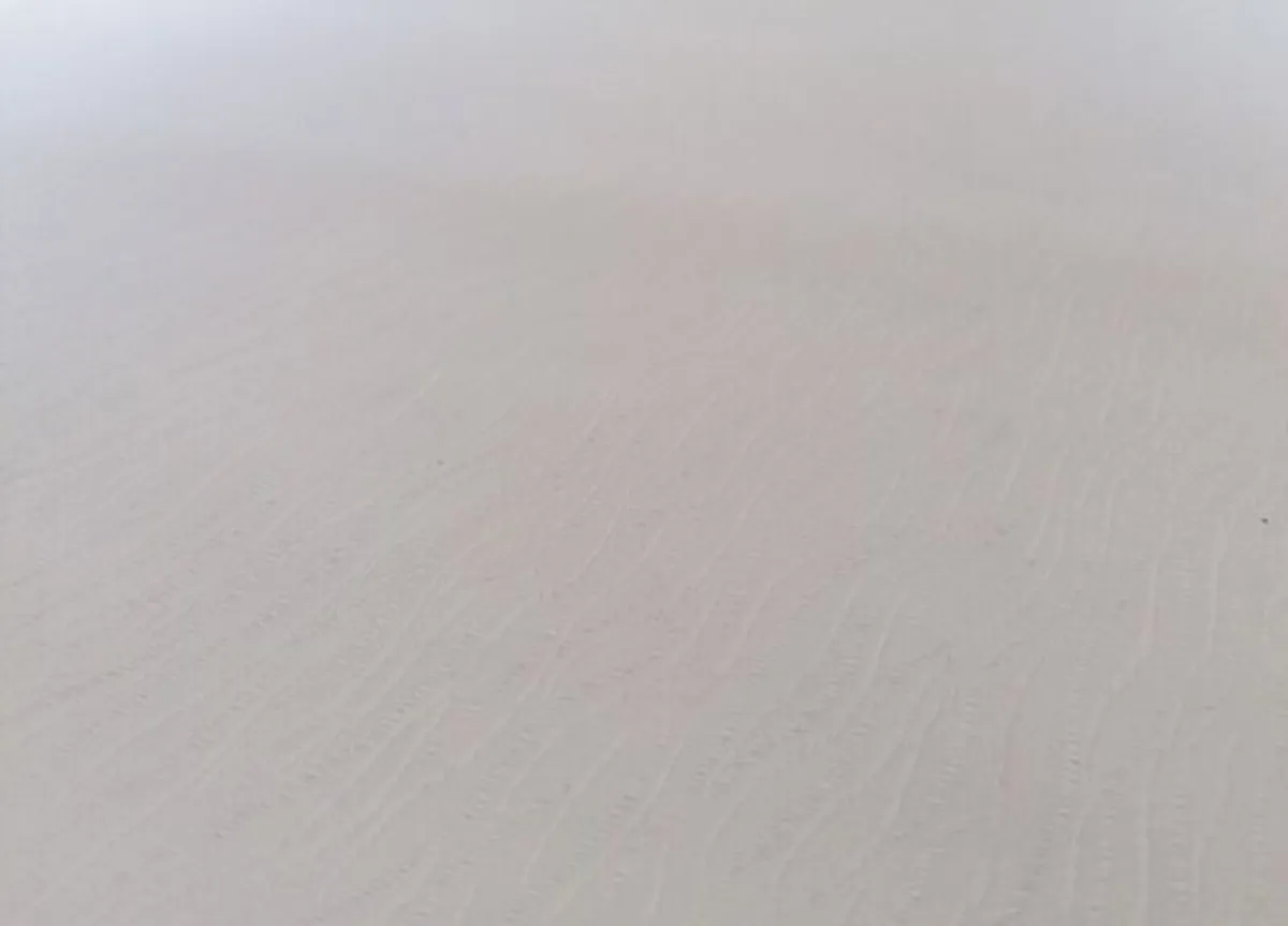 Extra Large Blind - Image 4