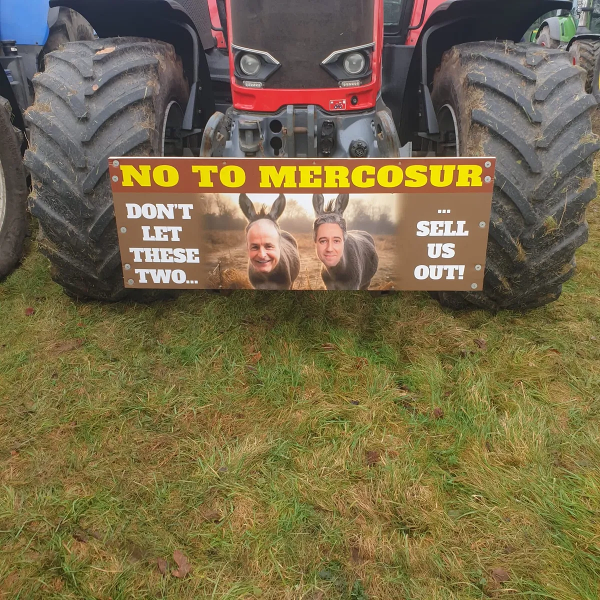 We buy all types of cattle