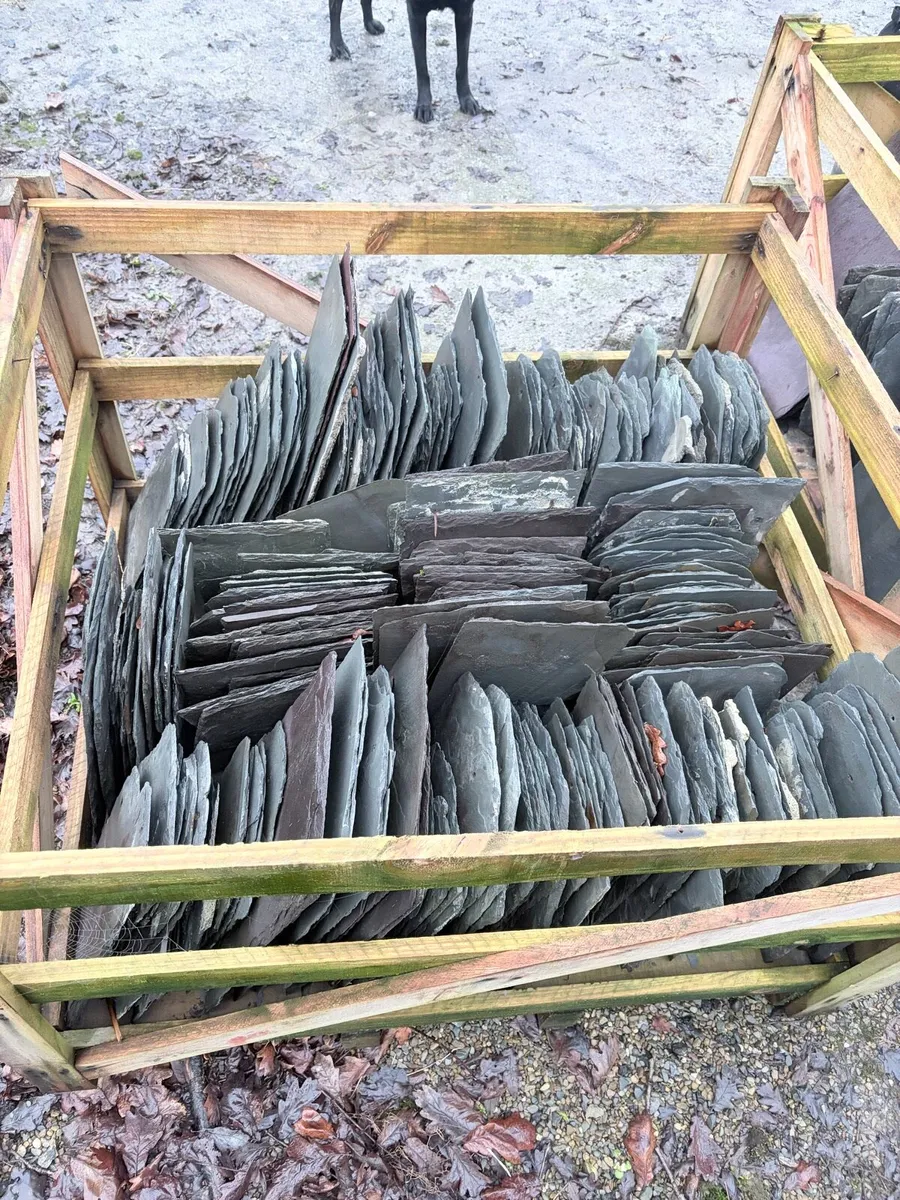 Old Natural Slates. Need gone asap. - Image 3