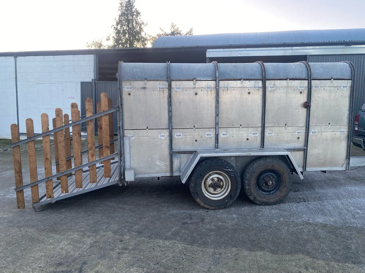 12*6 cattle trailer for sale - Image 2