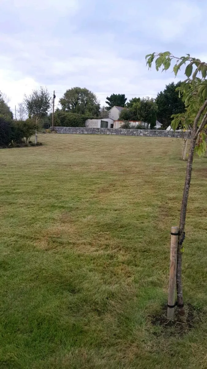 Garden Rescue - Image 3