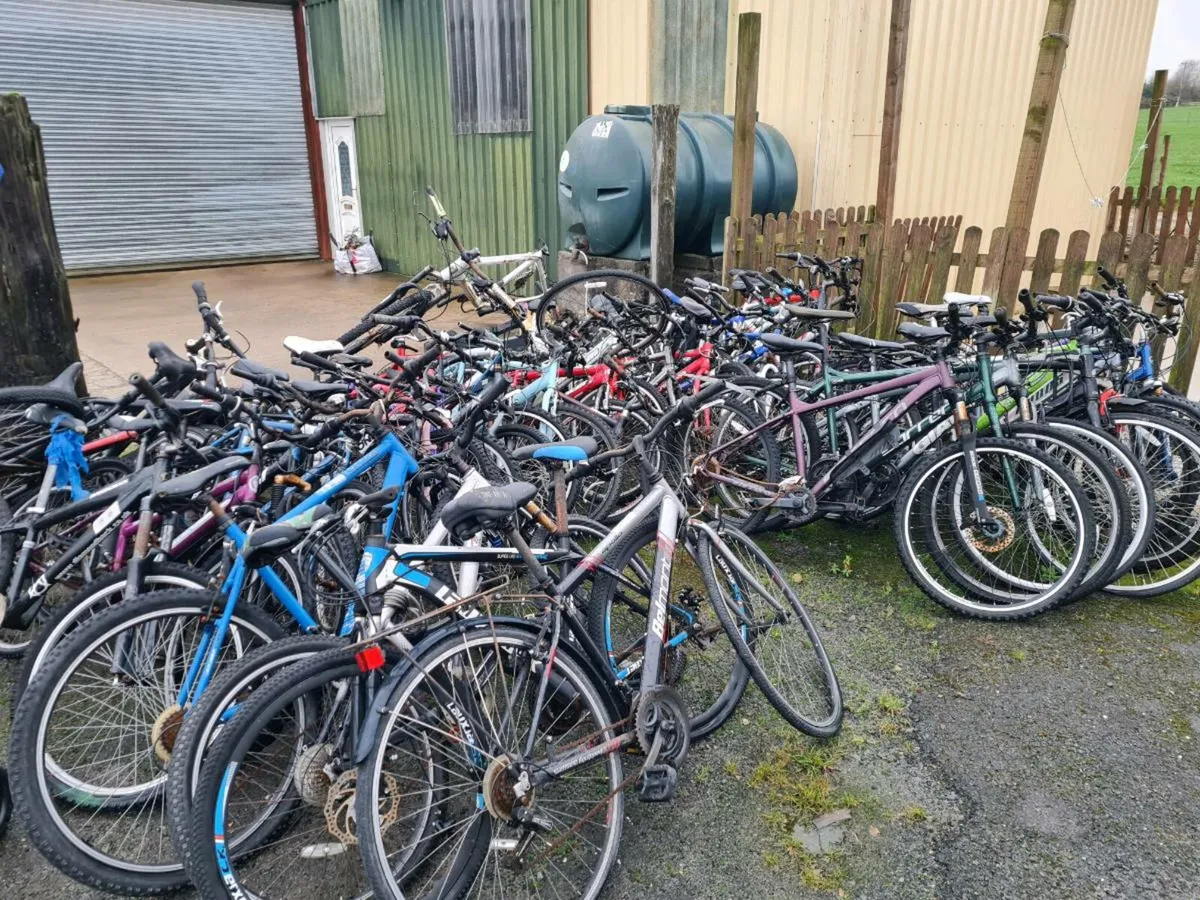 Bikes for sale - Image 1