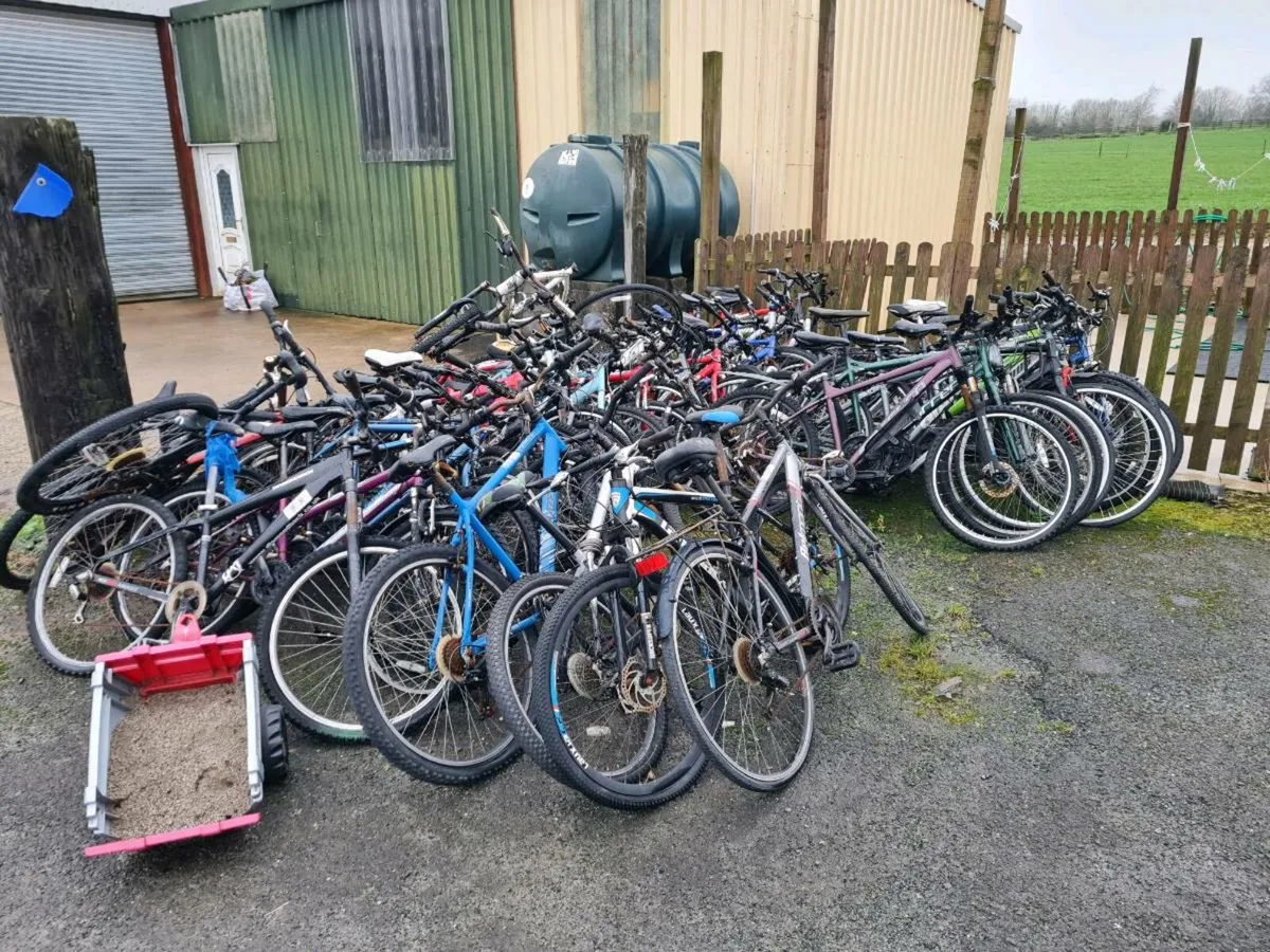 Bikes for sale - Image 2