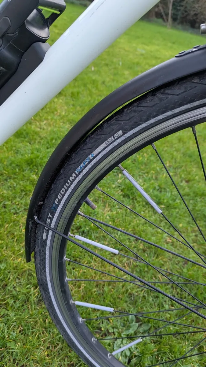 E-bike Gtech Carbon belt - Image 3